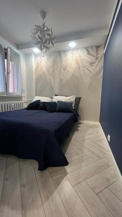 Apartament Panewnicka Katowiceアパートメント エクステリア 写真
